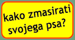 masaža psov